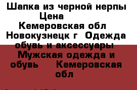 Шапка из черной нерпы › Цена ­ 4 000 - Кемеровская обл., Новокузнецк г. Одежда, обувь и аксессуары » Мужская одежда и обувь   . Кемеровская обл.